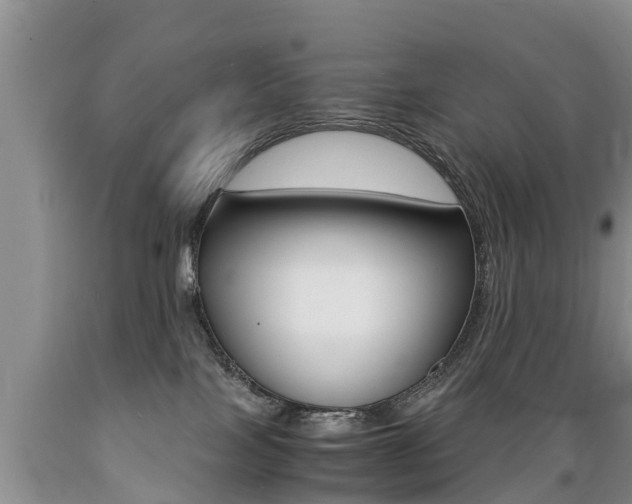 X0000089730089200706210926