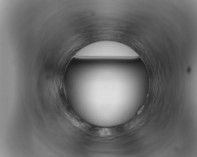 X0000089730091200706210926
