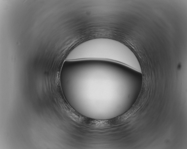 X0000089730093200706210926