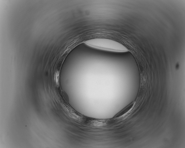 X0000089730094200706210926