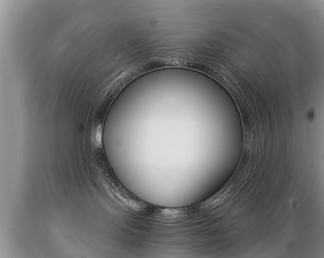 X0000089730095200706210926