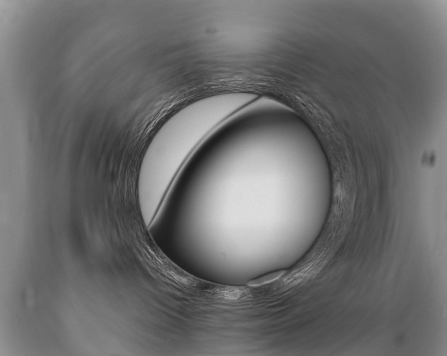 X0000089730096200706210926