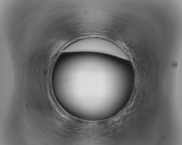 X0000089730097200706210925