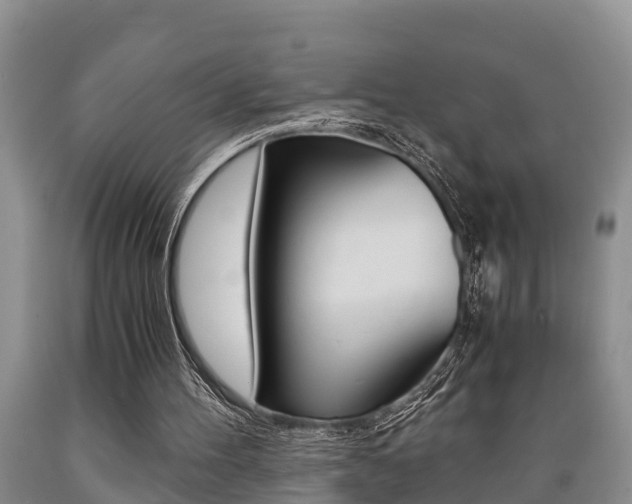 X0000089730100200706210925