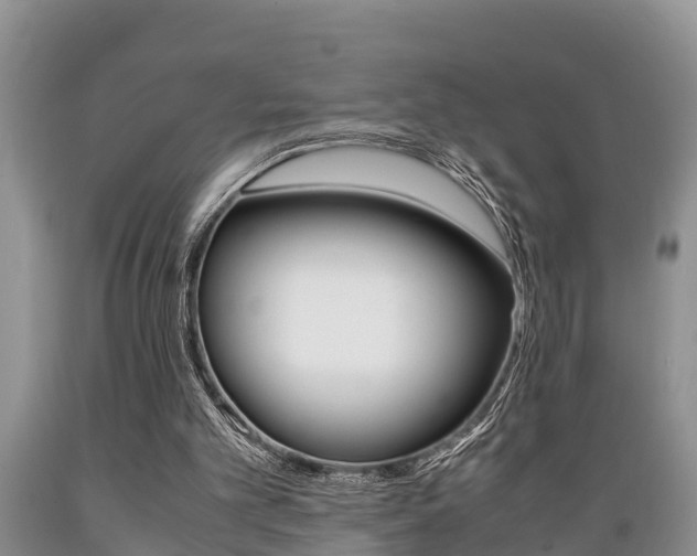 X0000089730101200706210925