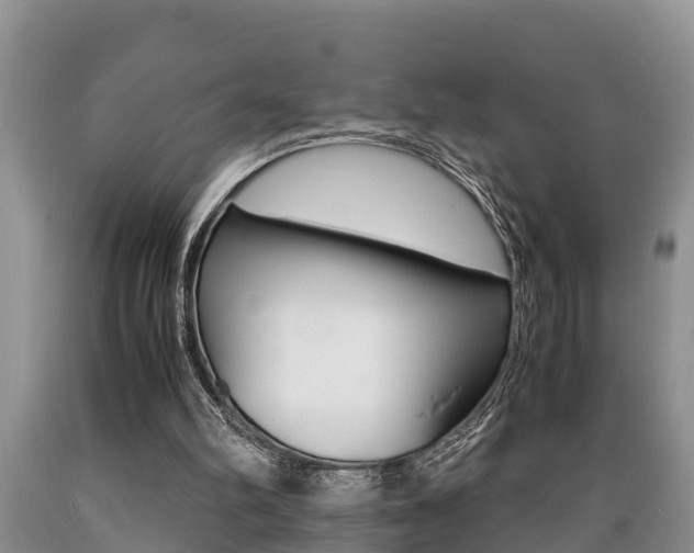 X0000089730102200706210925