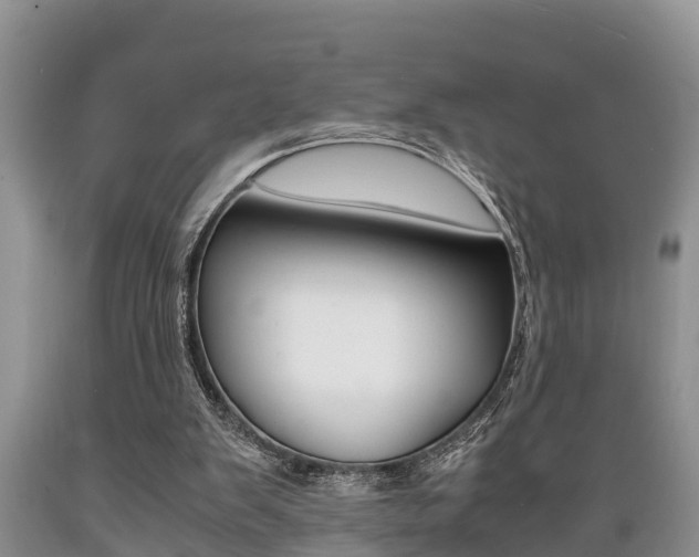 X0000089730103200706210925