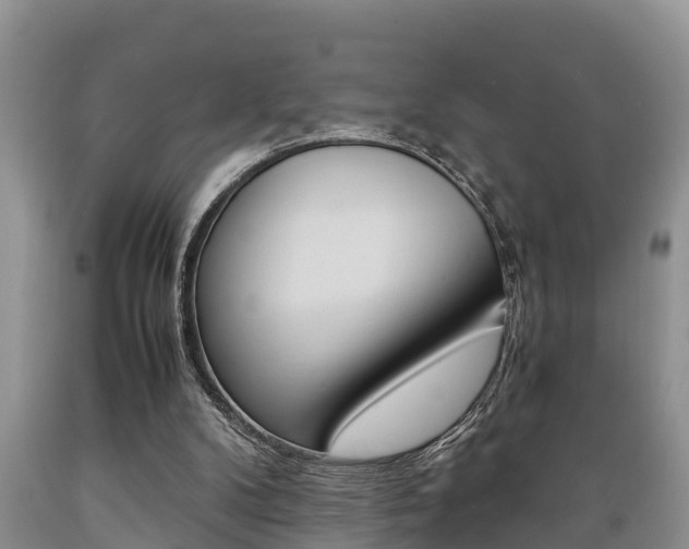 X0000089730104200706210925