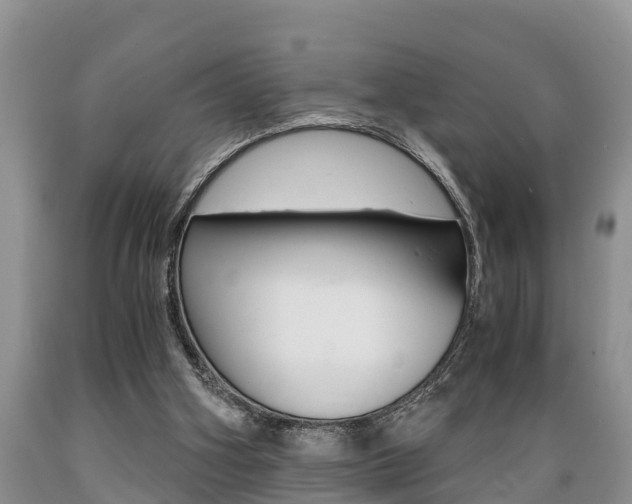 X0000089730106200706210925