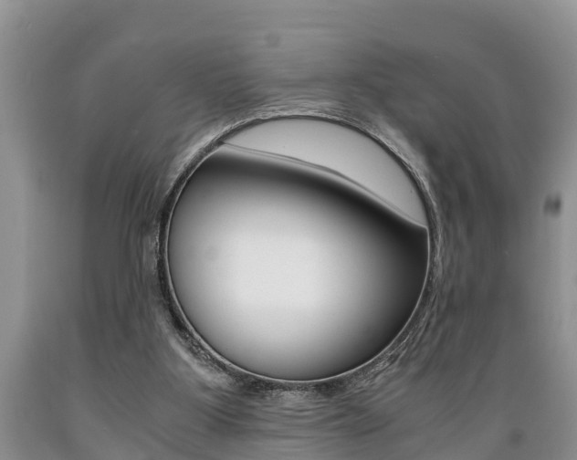 X0000089730107200706210925
