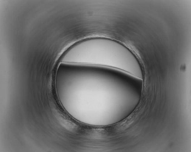 X0000089730108200706210925