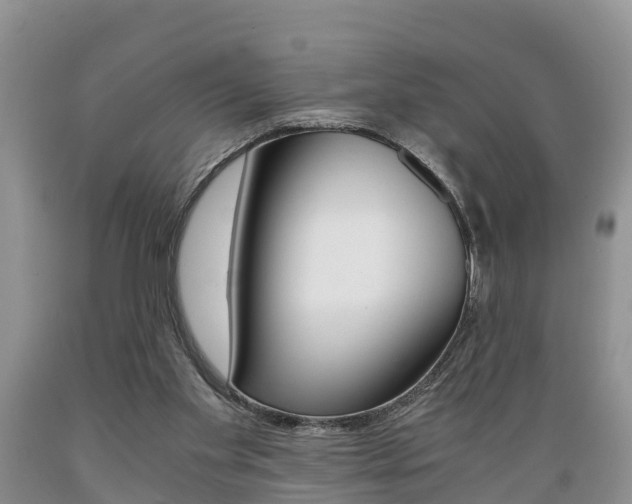 X0000089730109200706210925