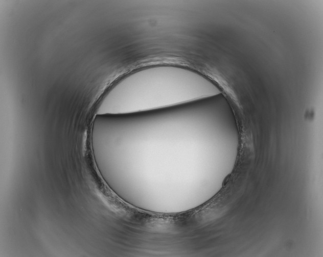 X0000089730110200706210925