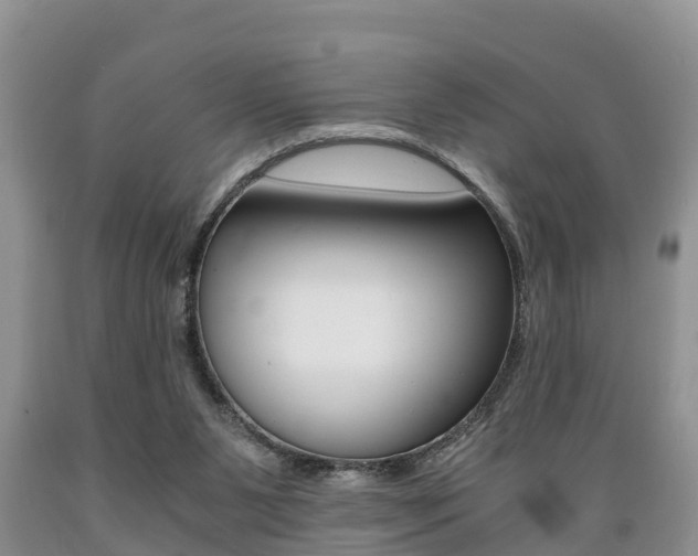 X0000089730111200706210925
