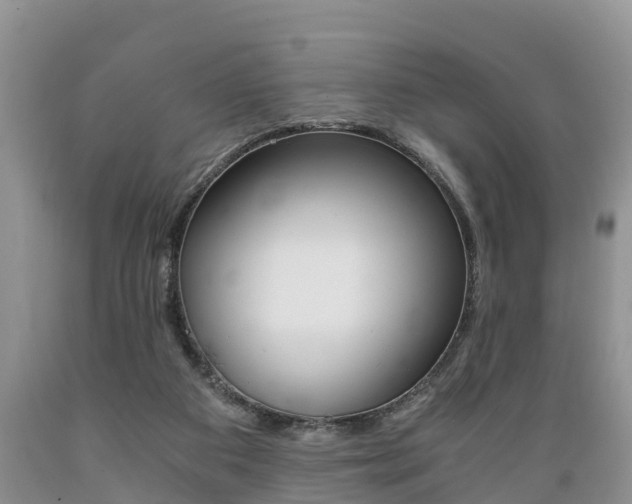 X0000089730113200706210925