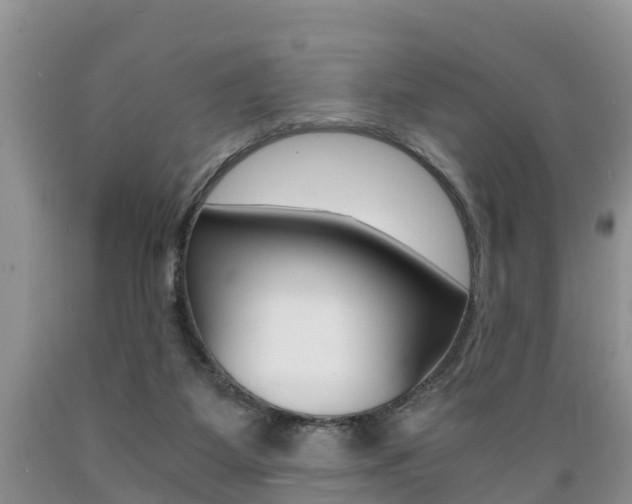 X0000089730115200706210925