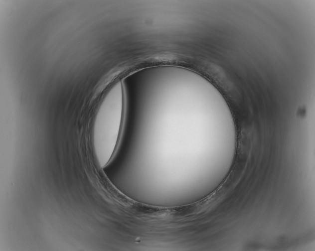 X0000089730116200706210925