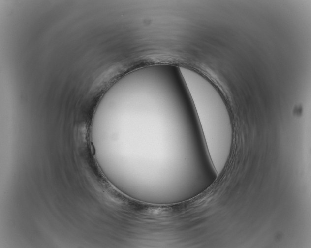 X0000089730117200706210925