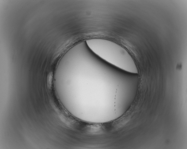 X0000089730118200706210925
