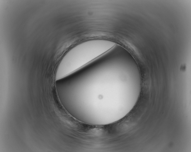 X0000089730119200706210925