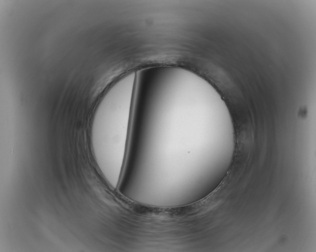 X0000089730120200706210925