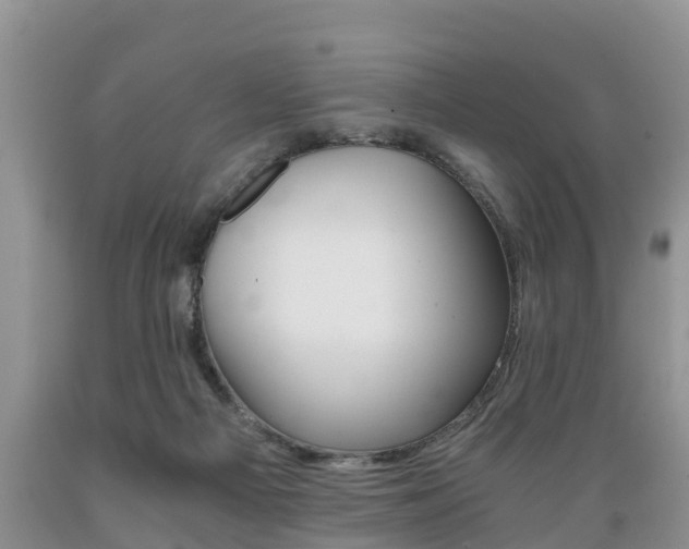 X0000089730121200706210925