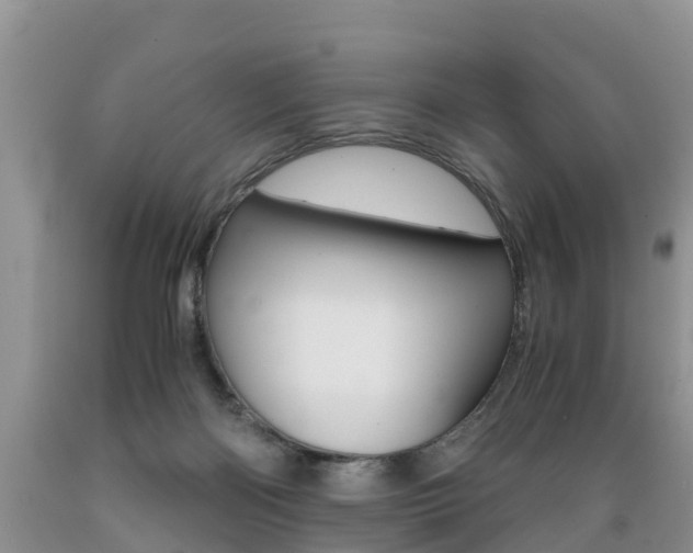 X0000089730122200706210925