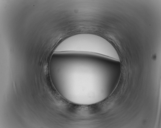 X0000089730123200706210925