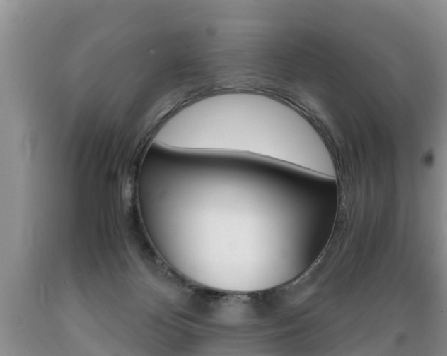 X0000089730124200706210925