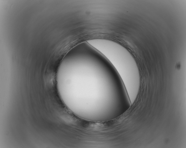 X0000089730125200706210925