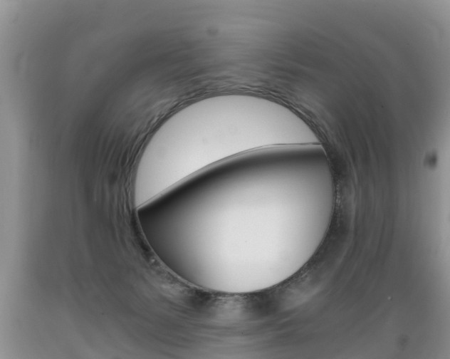 X0000089730127200706210925
