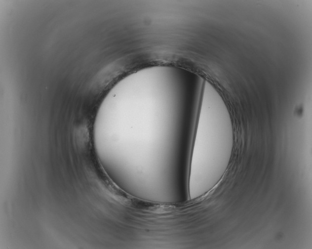 X0000089730128200706210925