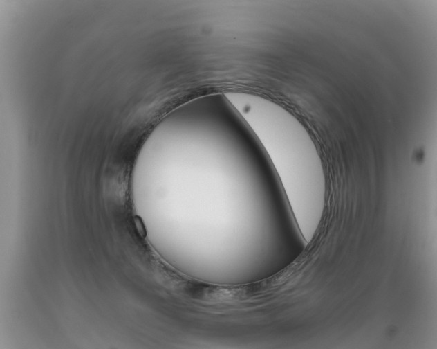 X0000089730129200706210925