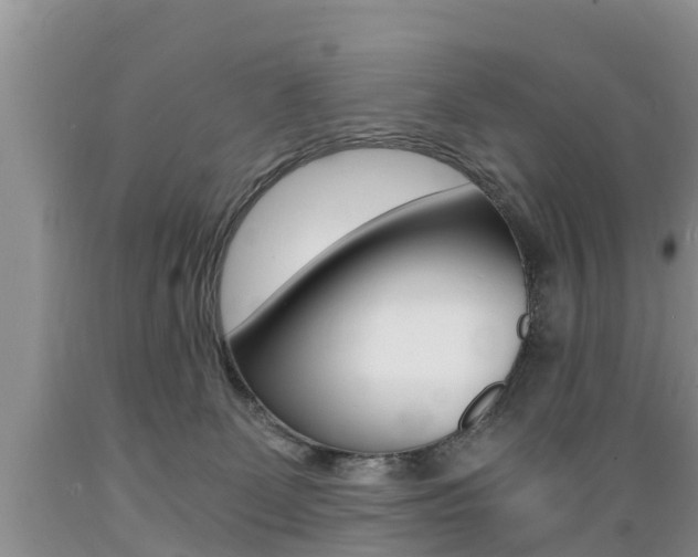 X0000089730131200706210925