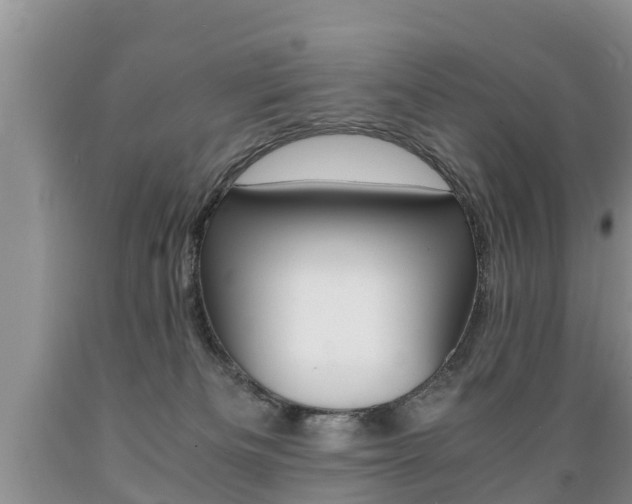 X0000089730133200706210925