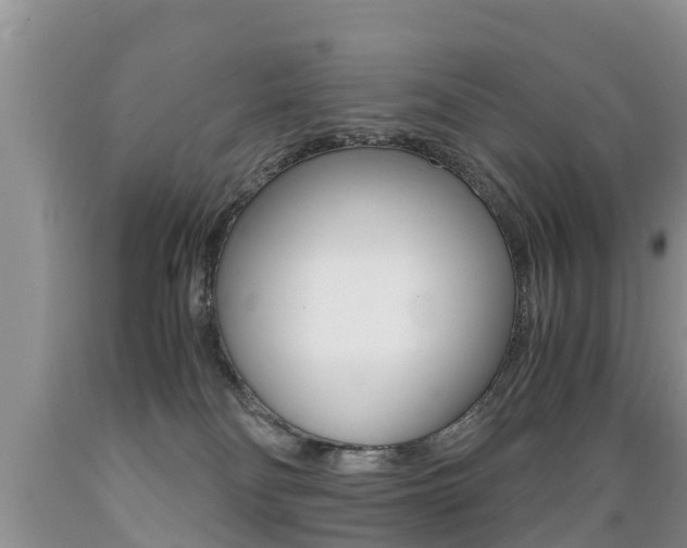 X0000089730134200706210925