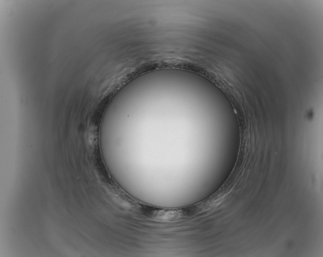 X0000089730135200706210925