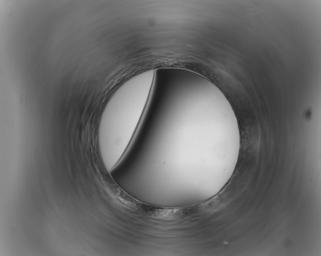 X0000089730136200706210925