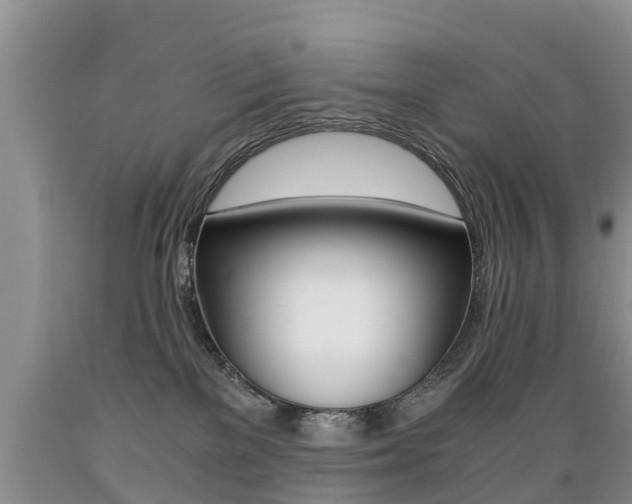 X0000089730137200706210925