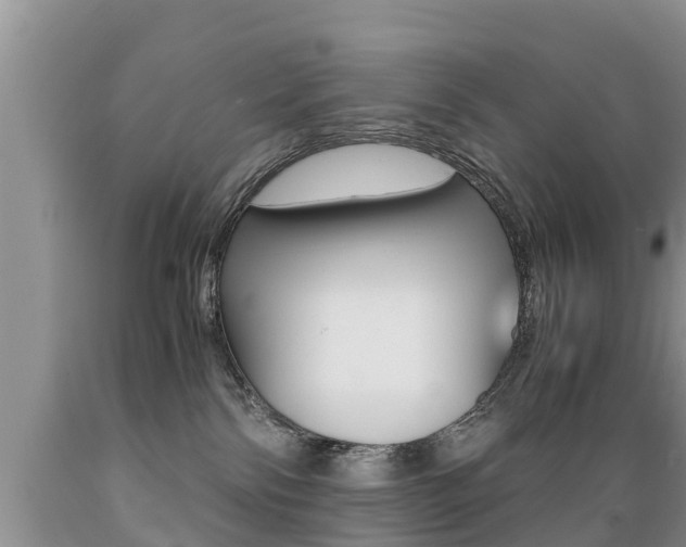 X0000089730138200706210925