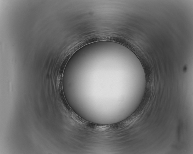 X0000089730139200706210925