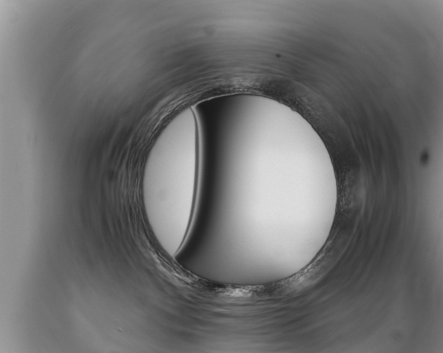 X0000089730140200706210925