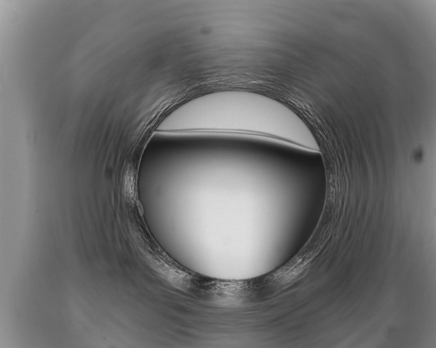 X0000089730143200706210925