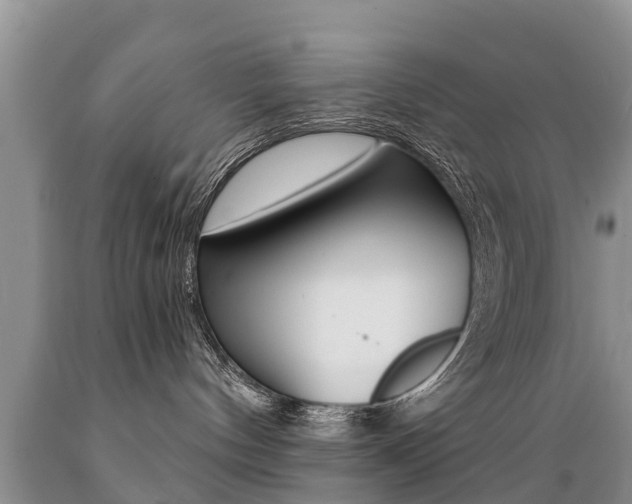 X0000089730144200706210925