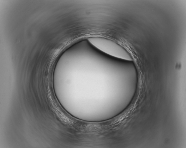 X0000089730145200706210924