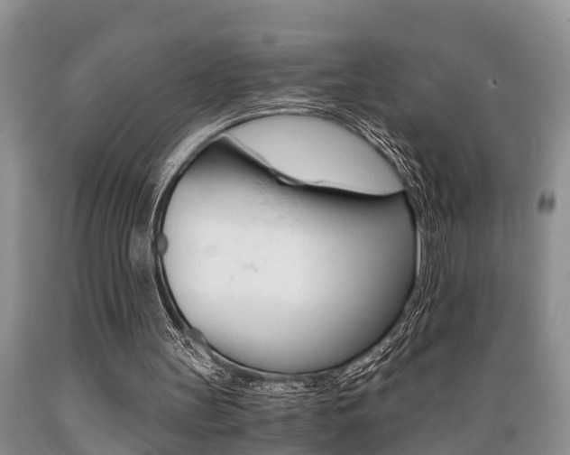 X0000089730147200706210924