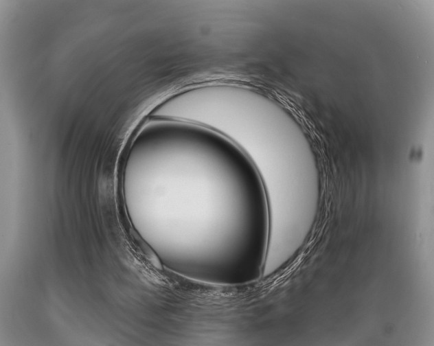 X0000089730148200706210924