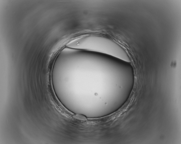 X0000089730149200706210924