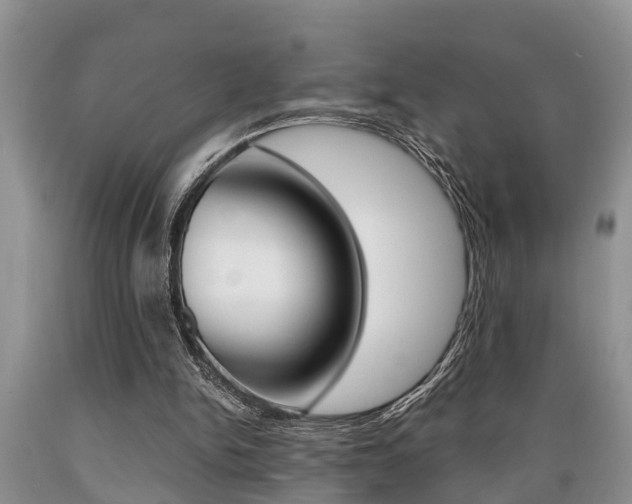 X0000089730150200706210924