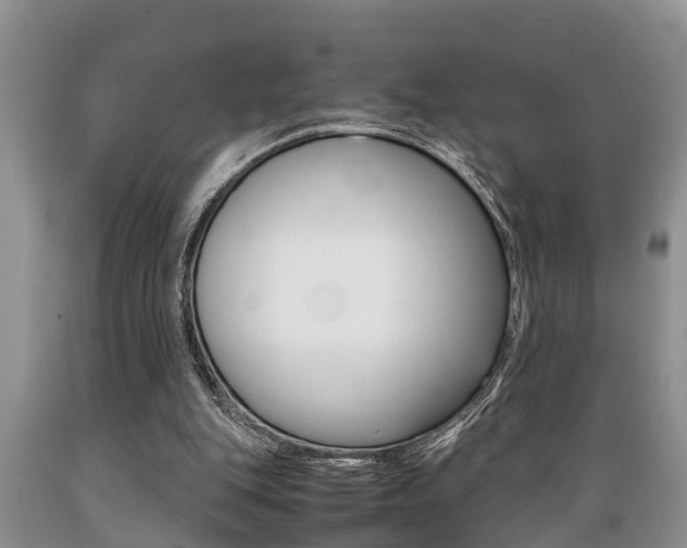 X0000089730151200706210924